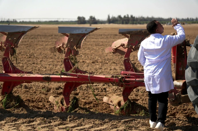 agriculture